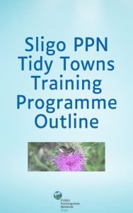 tidy towns programme