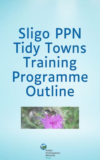 tidy towns programme