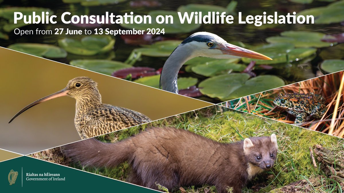 Consultation on wildlife ireland